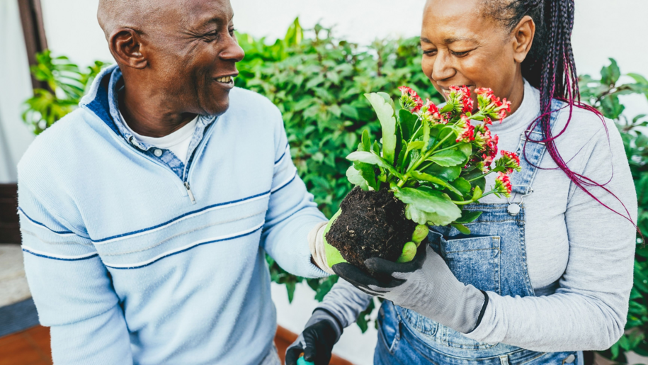 Mature adults gardening